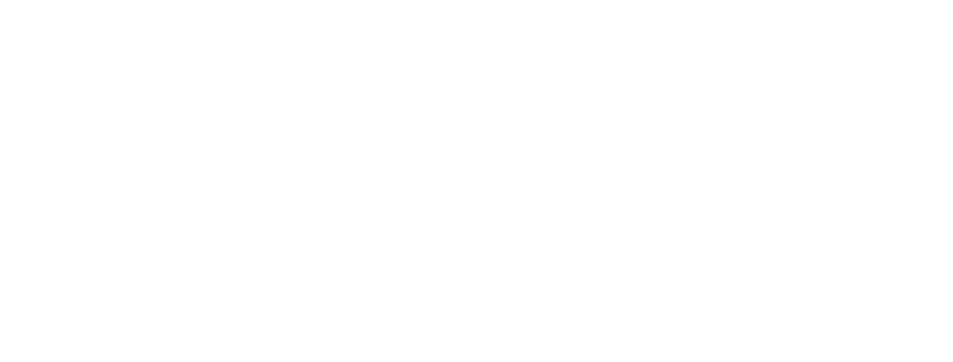 NS Traveler