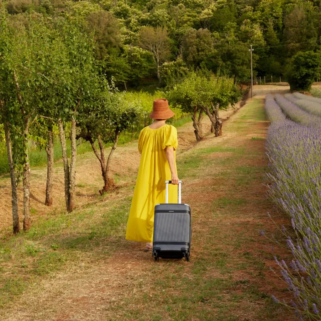 paravel bags